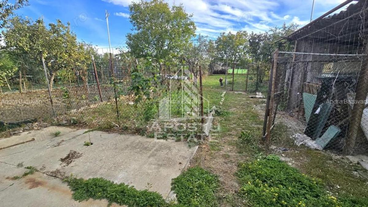 Casa individuala, zona Mehala, 740 mp teren - 10