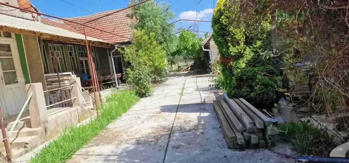 Casa si teren ideal pentru legumicultura - 4