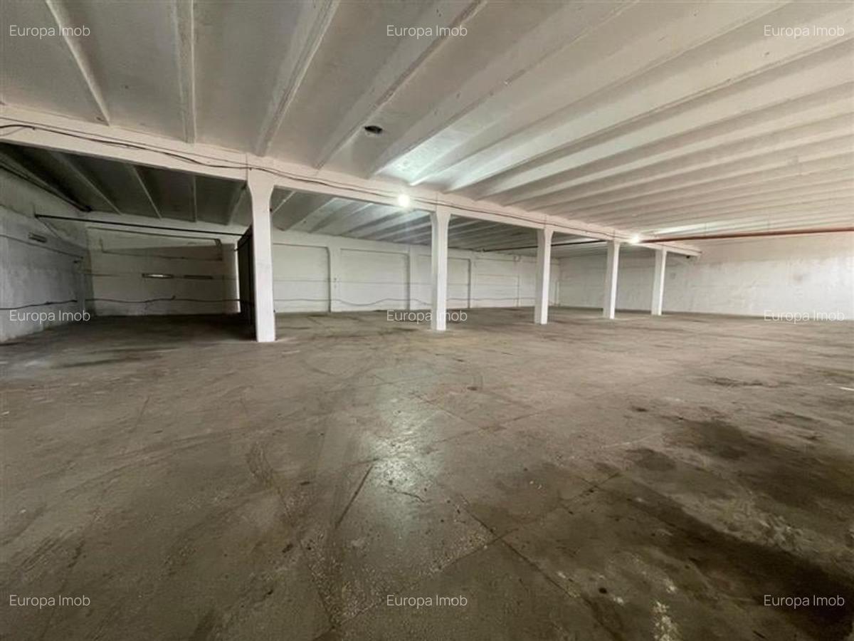 Hale de inchiriat zona Prislav Tulcea - 4