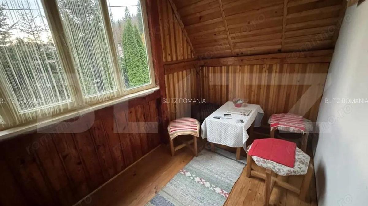 VAND CASA DE VACANTA LA COLIBITA, CU VEDERE SPRE LAC - 16