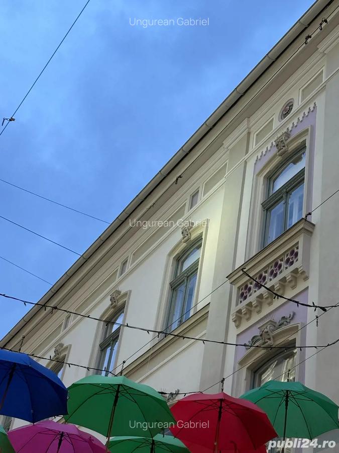 Apartament deosebit in inima Timisoarei - 2