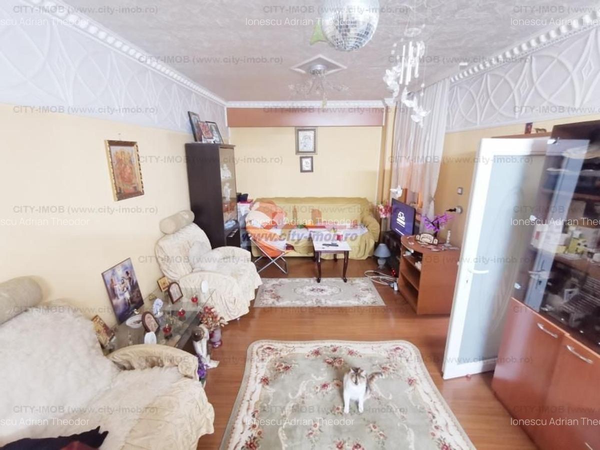 Vanzare casa Andronache - 1