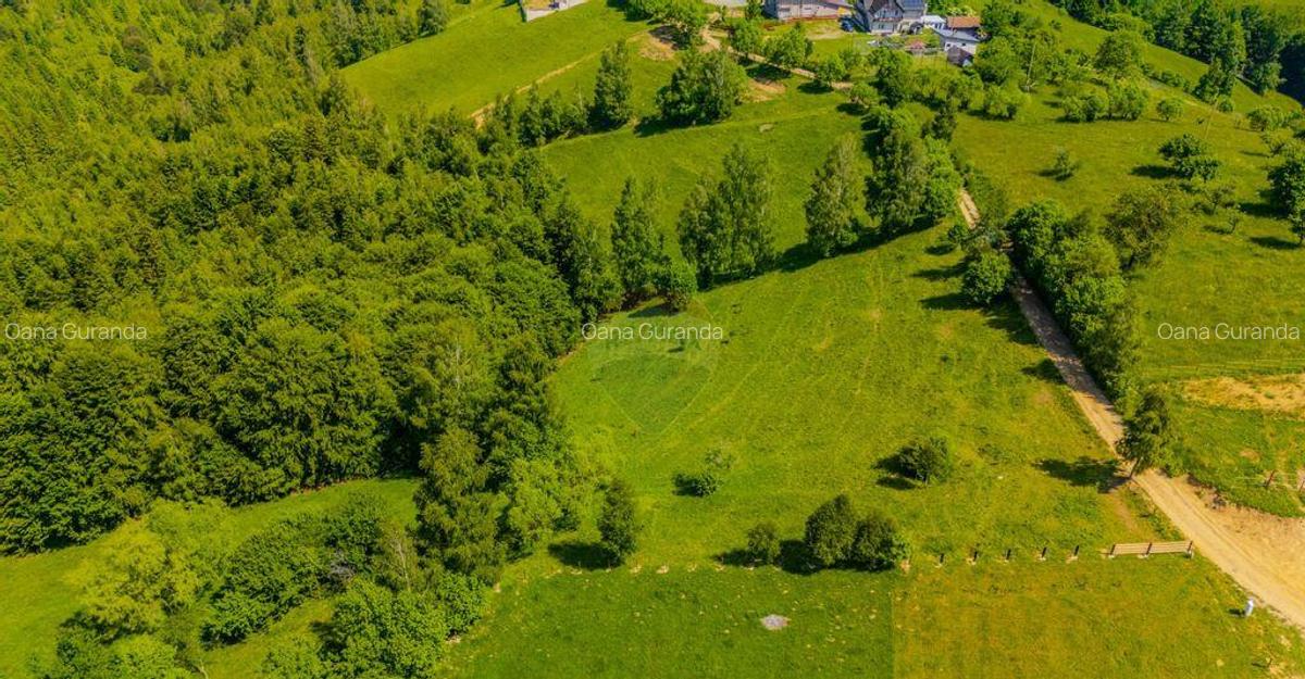 Teren extravilan 2,000mp Pestera / cabana vacanta/natura - 16