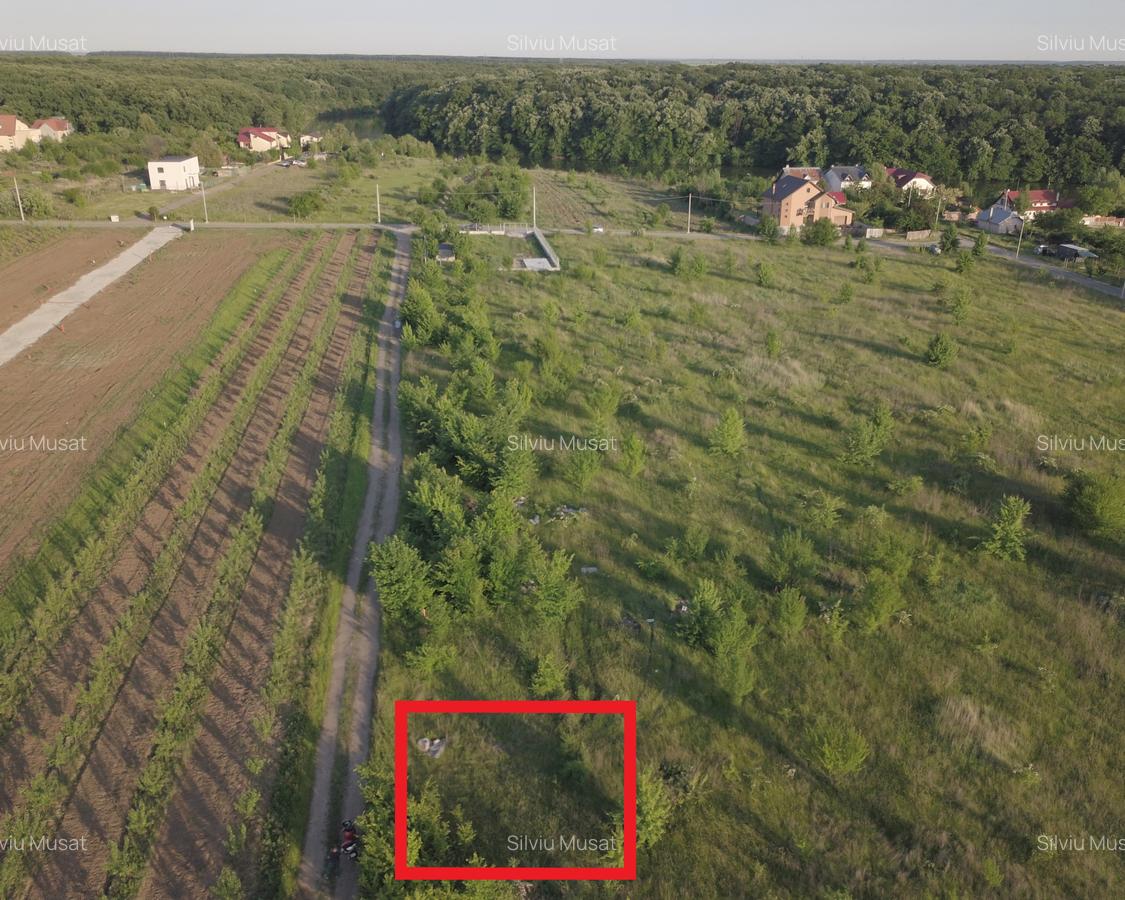 Intravilan, Branesti, 500mp, str. Violetelor, Lacul Pasarea, Padurea Cucu - 3