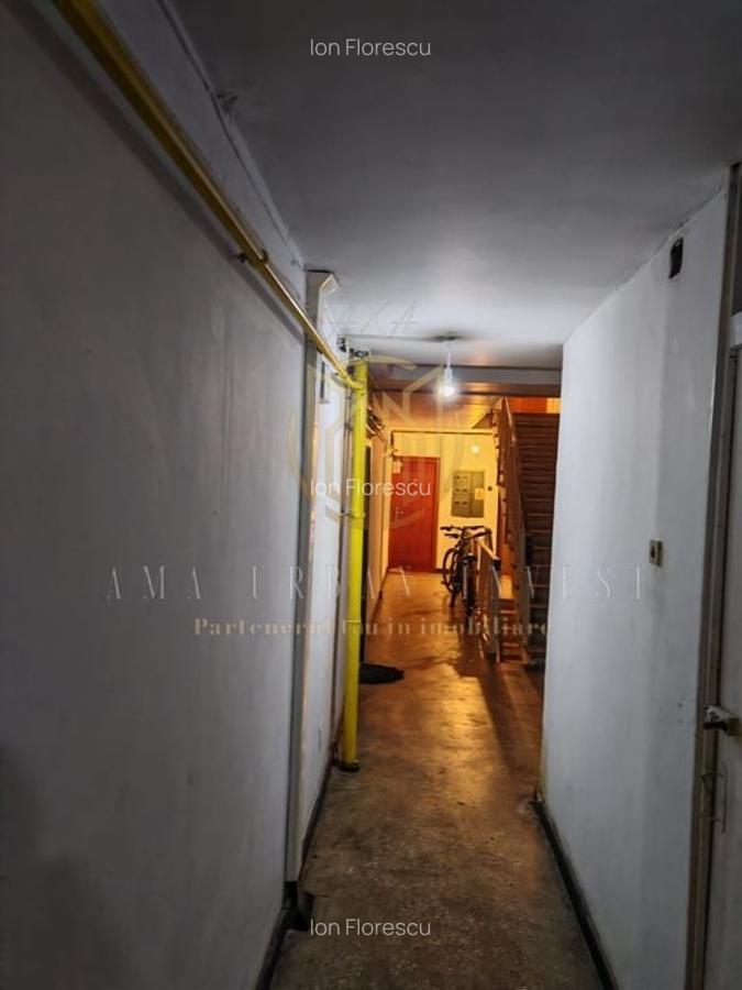 Teiul Doamnei Doamna Ghica  4 camere  87 mp , pret 136000eur - 13