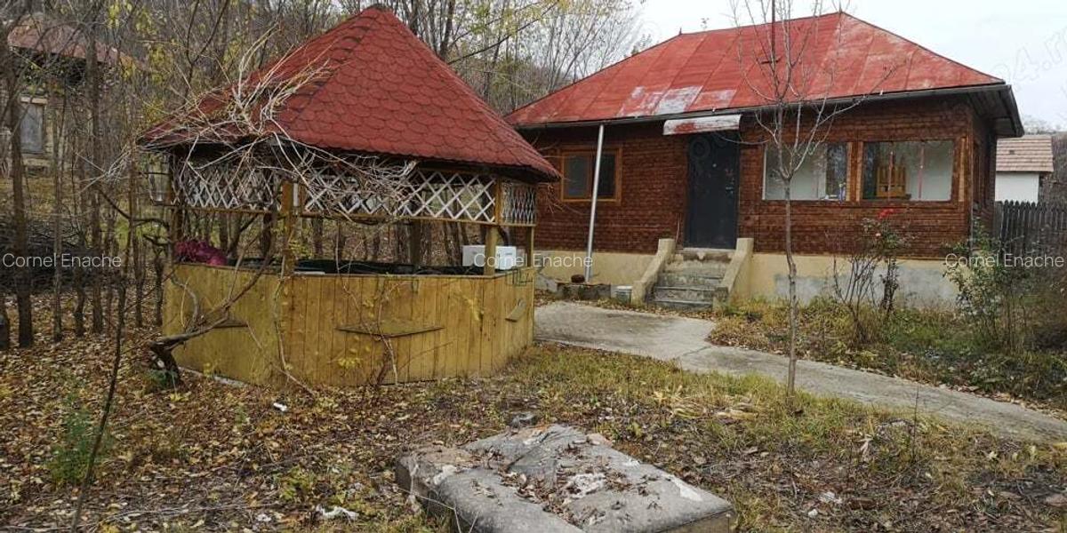 Casa de vanzare Salcia Prahova - 3