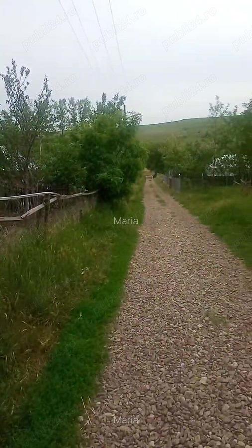 Casa cu teren intravilan 2800 mp in Vladeni (Corlateni), Botosani - 3