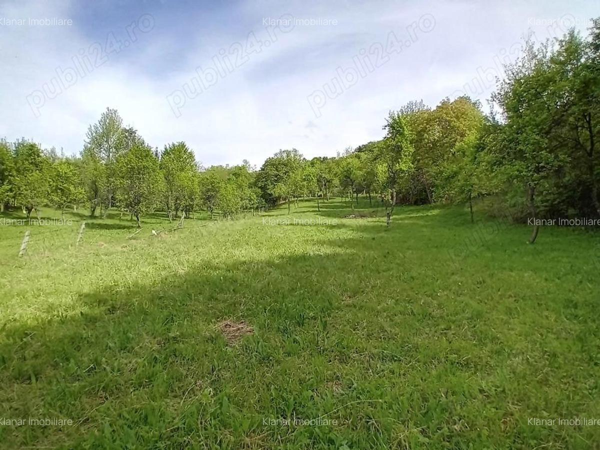 Teren de vanzare in Bradulet Arges - 3