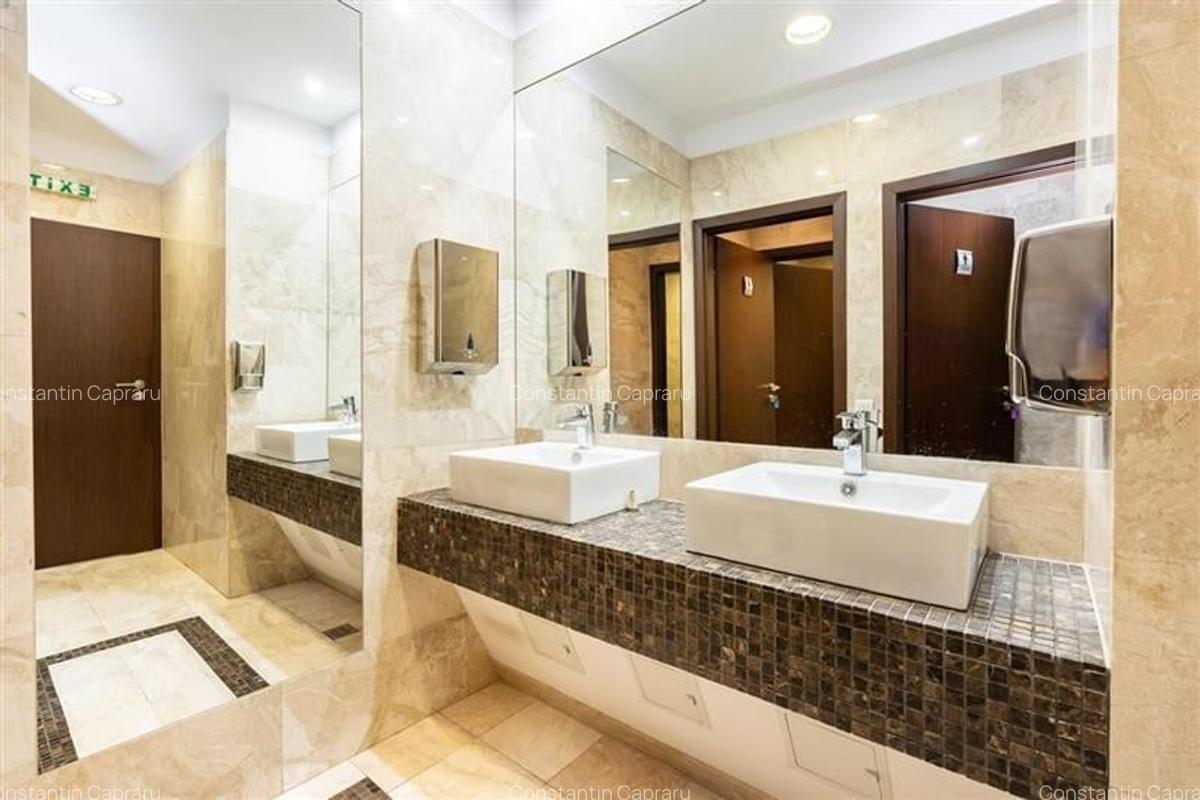 Spatiu de birou -  Piata Charles de Gaulle -  300 mp - 8