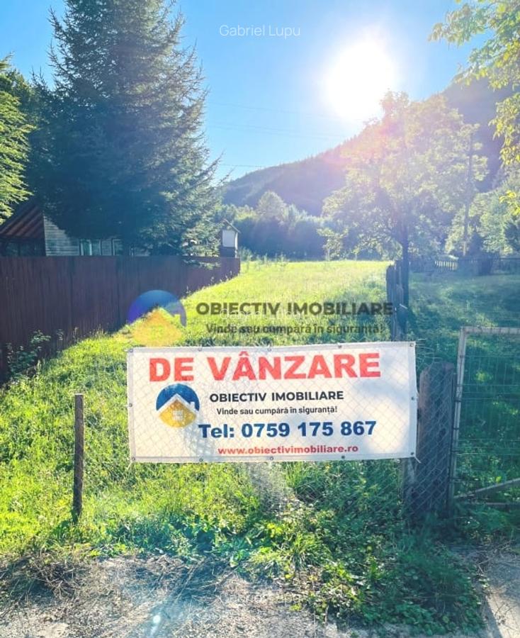 TEREN intravilan   8.000 mp TARCAU - 9