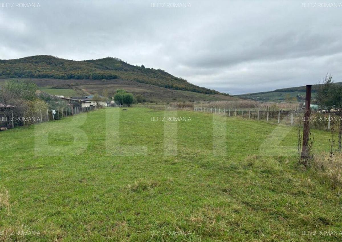 Teren 4000 mp,autorizatie de constructie Lechinta - 15