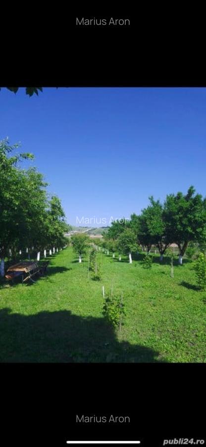 Casă individuală cu 5 camere în Călan - 4