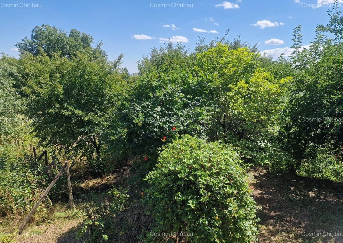 Casa in mediu rural cu teren - 18
