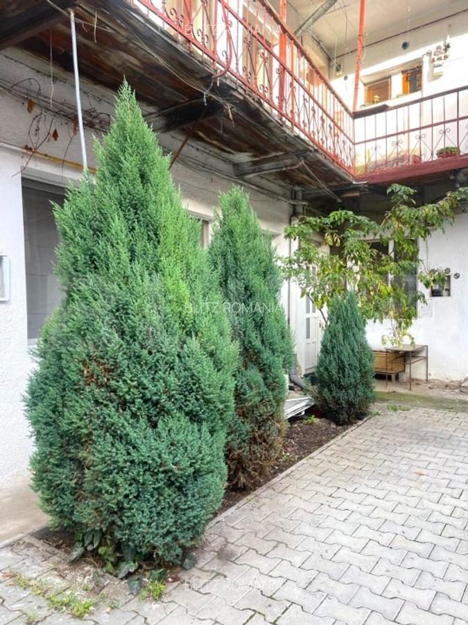 Garsoniera decomandata, 40 mp, curte, parcare, zona strazii Traian - 6