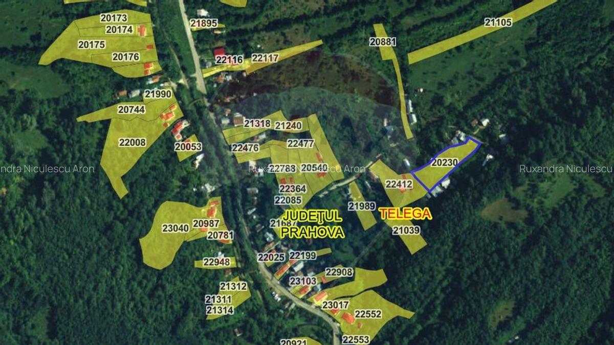 Teren intravilan (fanea?a) de vanzare 2231 mp, Te... - 8