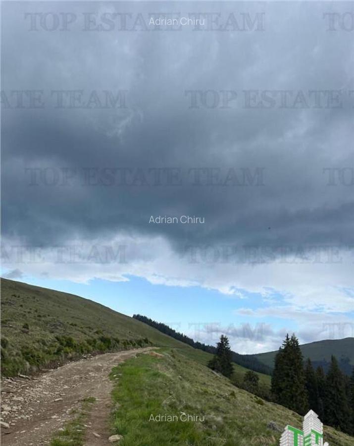 SUPER OPORTUNITATE, DE VANZARE O PROPRIETATE SPECIALA, MUNTE - 11