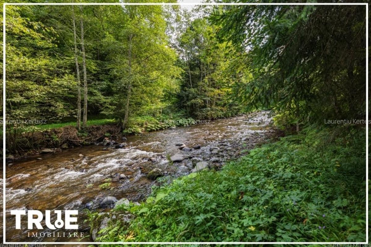 Cabană 160m? utili, teren 2253m?, Salard, Mureș! - 6