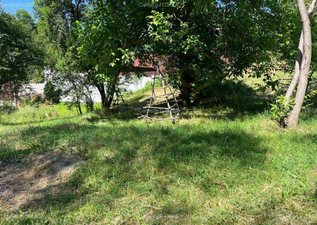 Teren 4996 mp zona de munte Comuna Arefu-Capataneni Arges - 3