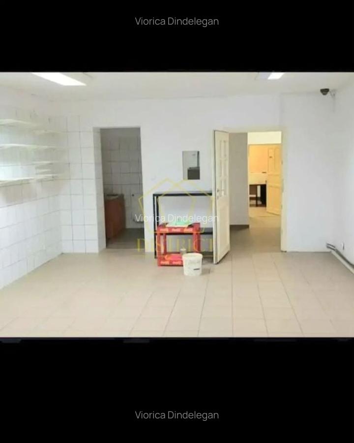 Spatiu Comercial SAD vad bun I Sagului - 8