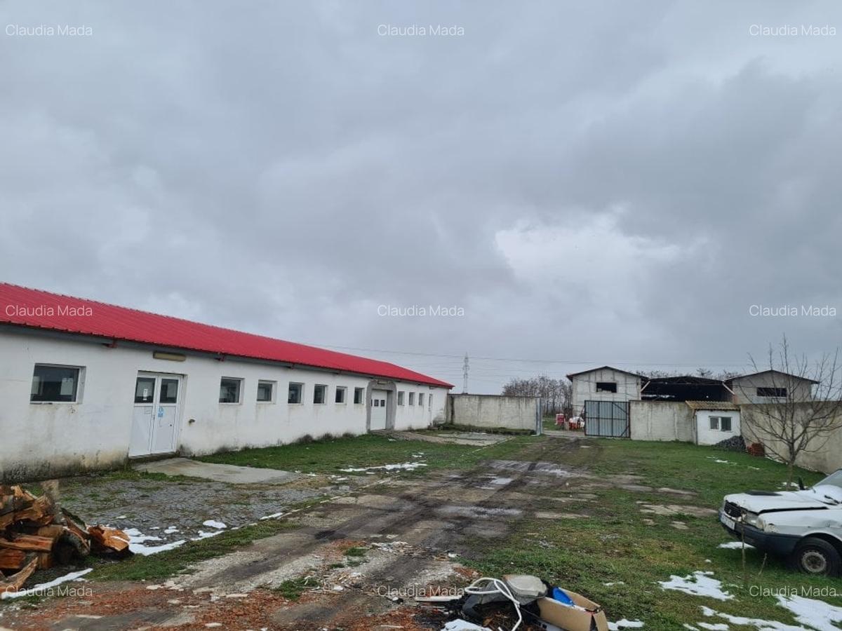 Spațiu industrial, 781 mp în Prejmer - 3