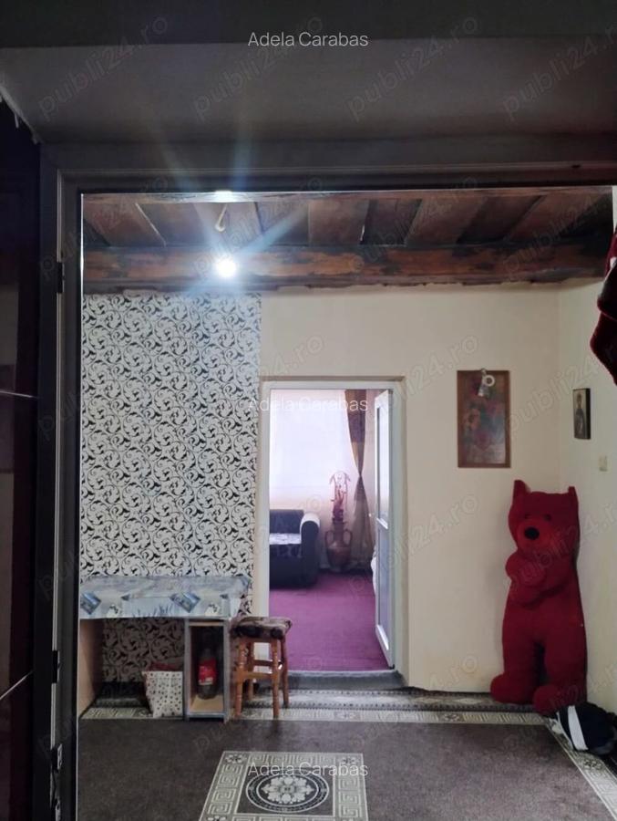 Casa in Cosarii - 4