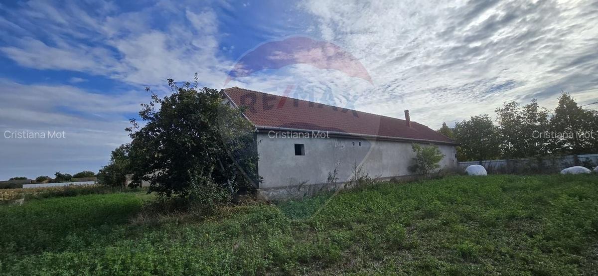 Teren si casa cu teren generos in Socodor - 9 Teren si casa cu teren generos in Socodor - 9