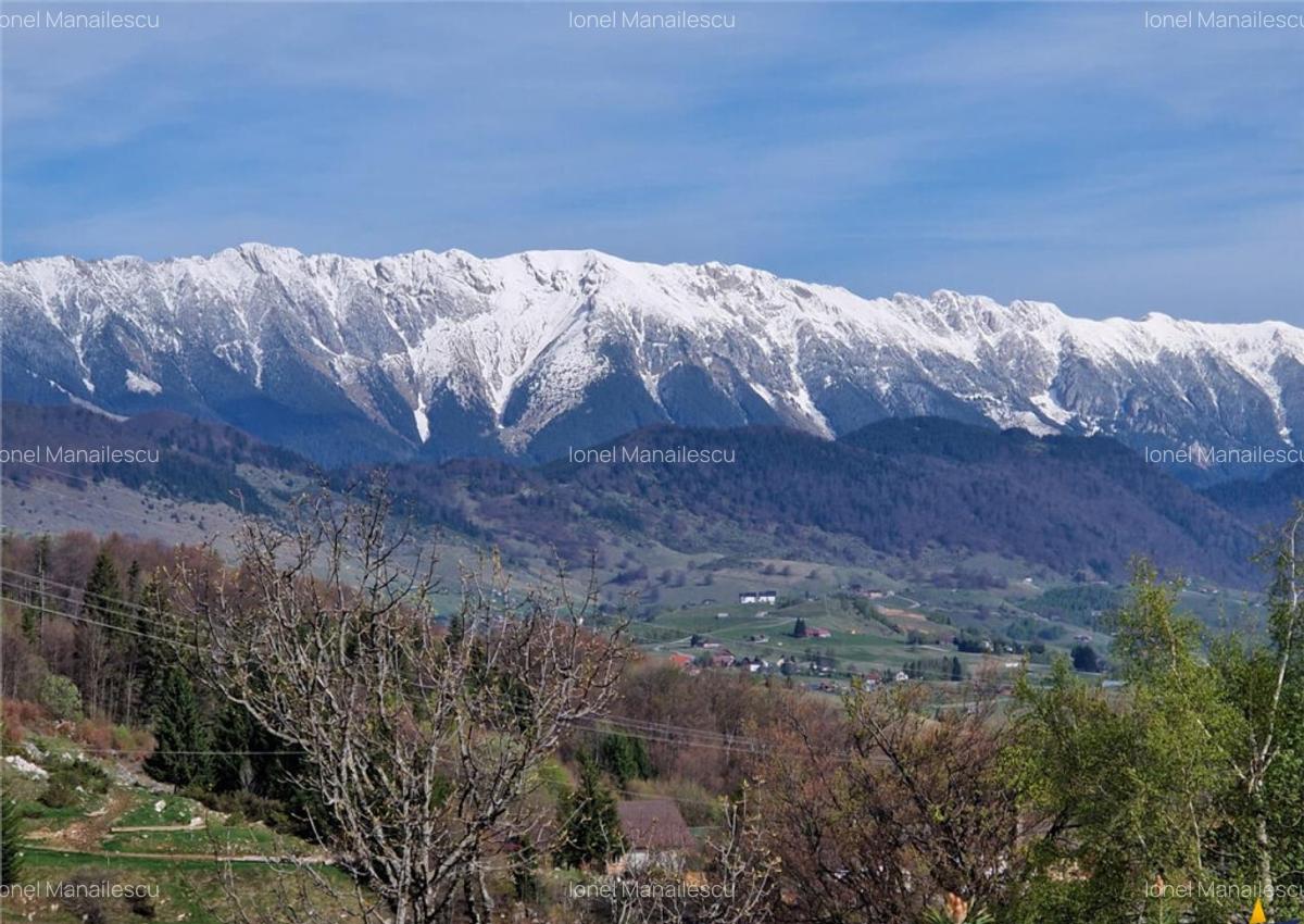 7.000 mp, pozitie spectaculoasa, fara vecini, Fundatica, Bra - 22