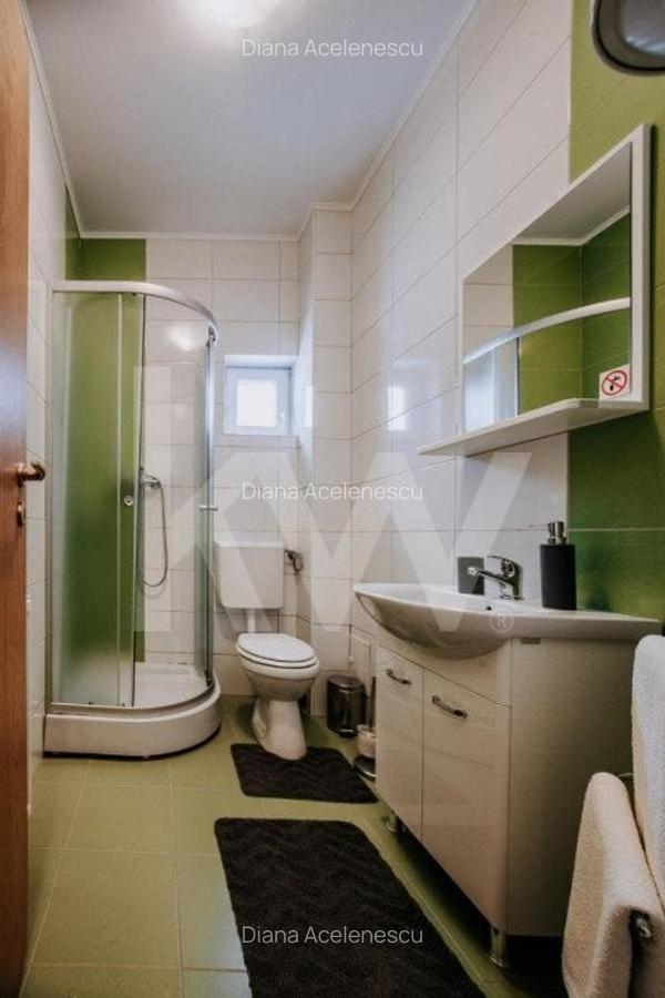 Vila cu 8 camere de vanzare - Arena Platos Paltinis - 10