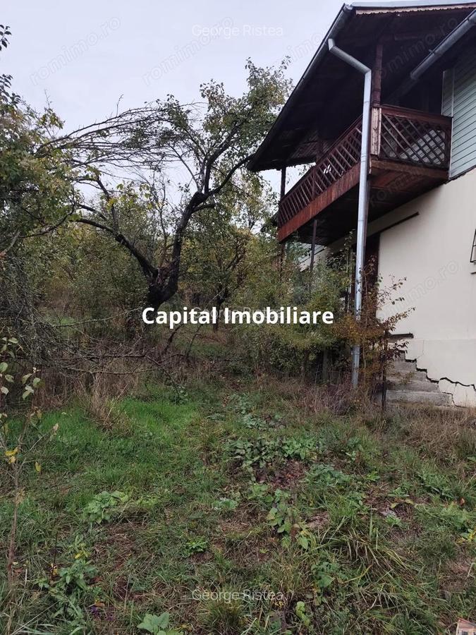 Casa Veche, Central Drajna de Jos 5000 mp - 5