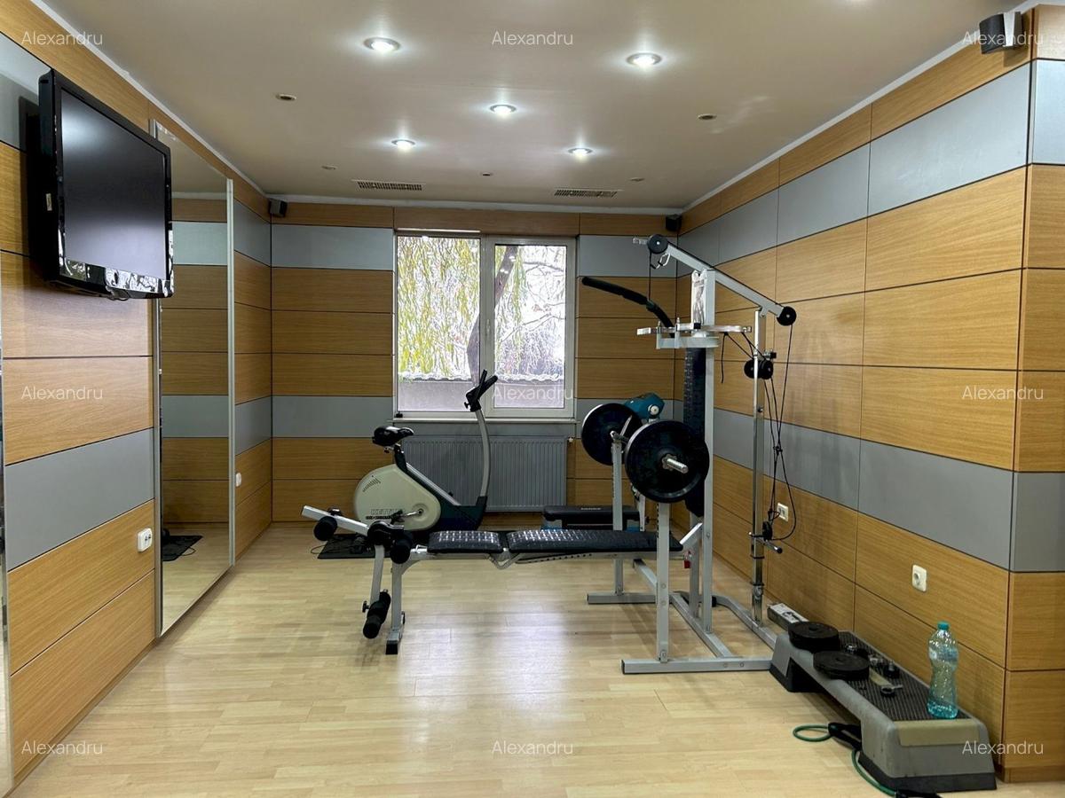 Parc Herastrau 4 camere lux vedere parc - 15