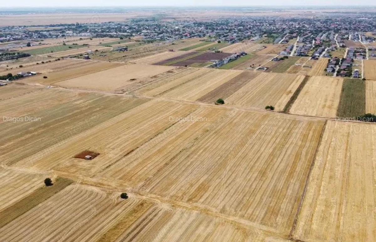 Teren Intravilan In Comuna Berceni | utilitati: gaze si curent | #EG28 - 4