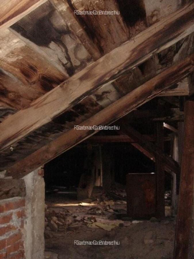 Cismigiu, imobil S+P+3E+M - 4