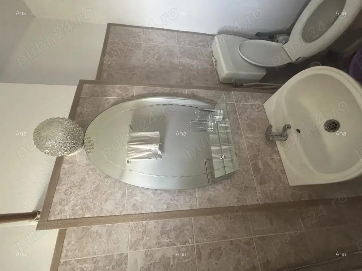 Apartament 2 camere Slatina 56 mp de inchiriat - 4