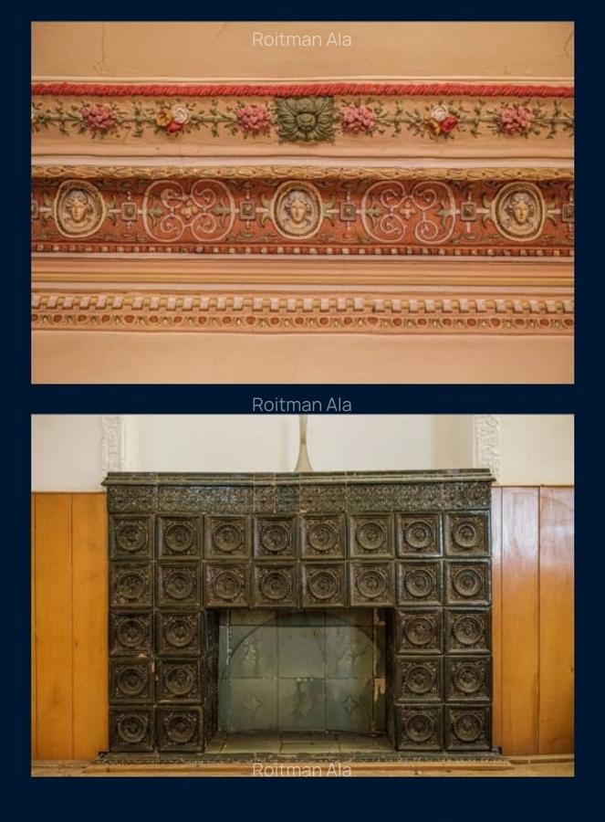 Vila istorica de patrimoniu - 160 mp/teren 262 mp - 10