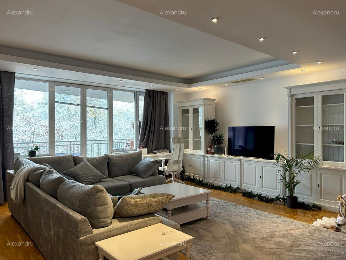 Parc Herastrau 4 camere lux vedere parc - 4