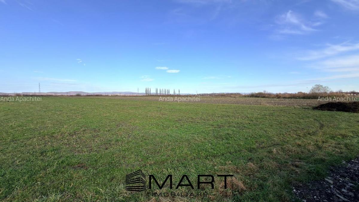 Teren Extravilan 15.000 mp Prejmer - 2