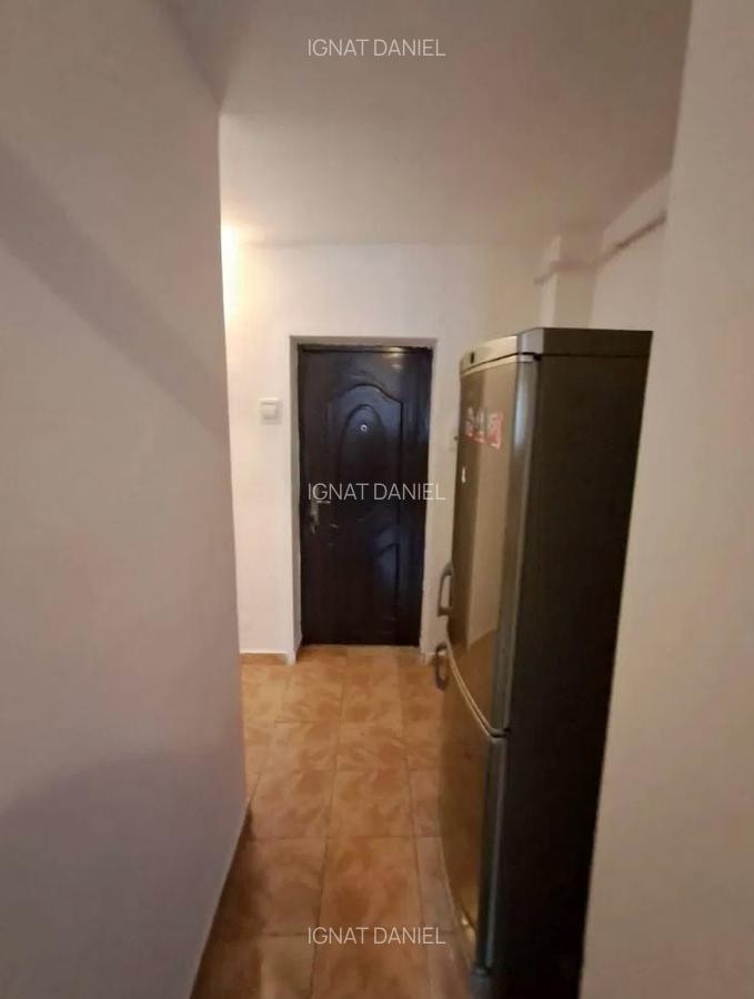 Apartament cu 1 camera, PET FRIENDLY, zona Tatarasi - 4