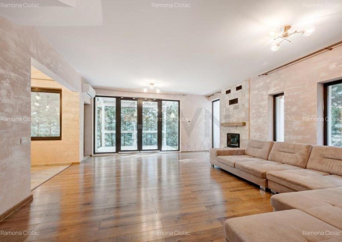 Vila Eleganta Iancu NIcolae Voluntari - 5