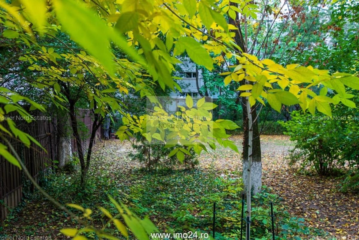 Apartament 3 Camere Militari-Apusului, renovat - 13