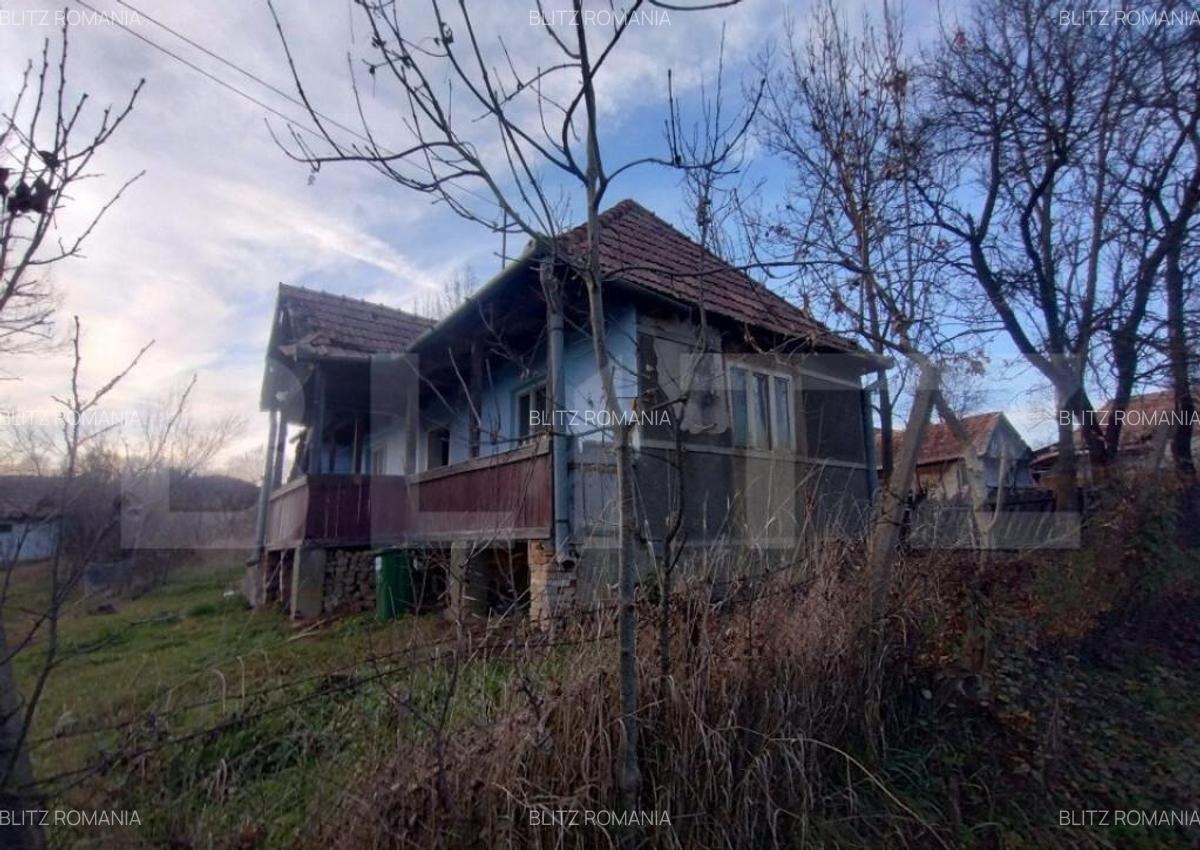Casa batraneasca,55mp utili, teren aferent 2700mp+1ha teren - 8