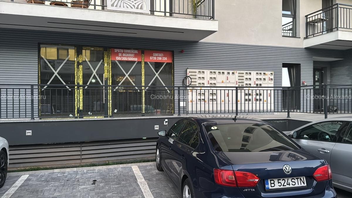 Inchiriem spatiu comercial in zona Theodor Pallady(Ozana) - 2