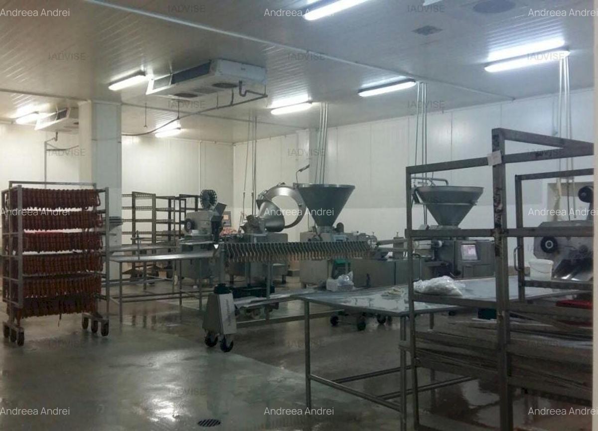Spațiu industrial, 1000 mp în Bartolomeu - 2