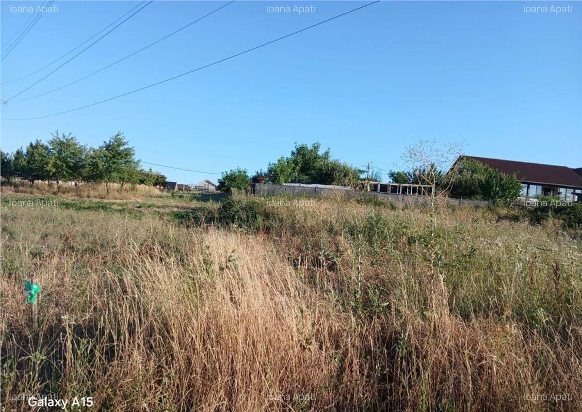 RECO Teren intravilan Sanmartin - 1