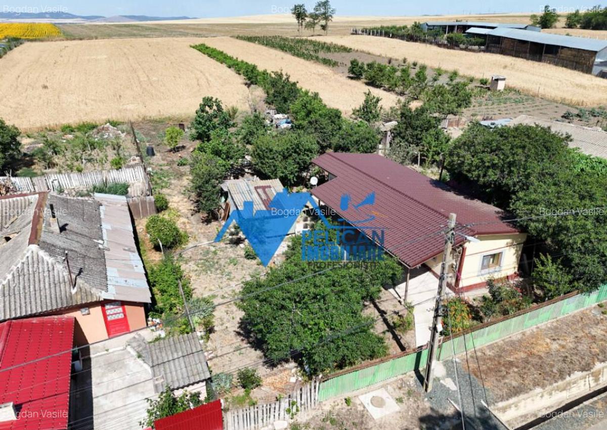 Casa cu teren in Cataloi - 2500mp - 4