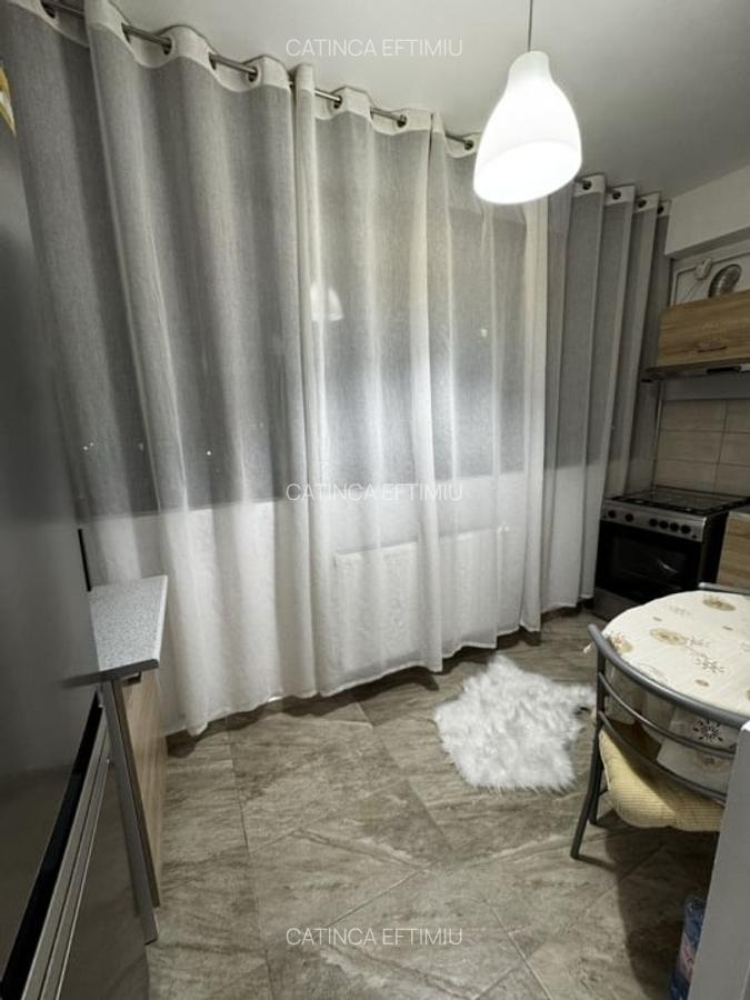 PRIMA INCHIRERE TINERETULUI - PIATA NORILOR | PARC TINERETLUI | BOILER - 3