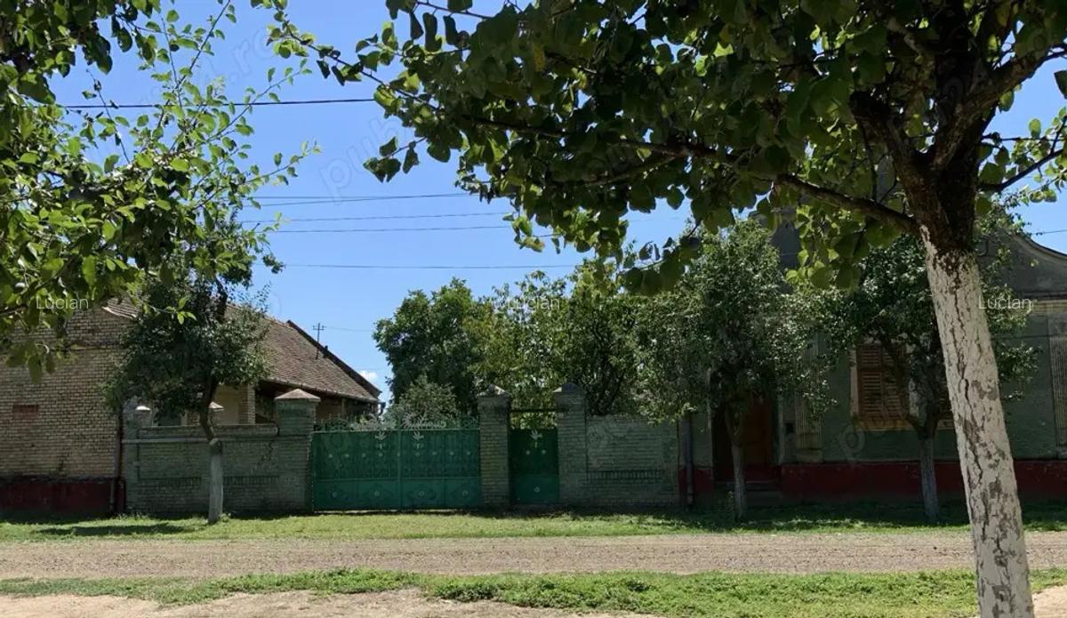 Casa la ?ara in Uliuc, 20km de Timi?oara - 1