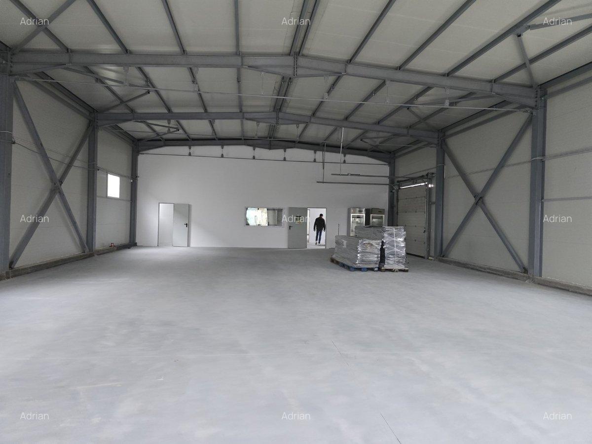 Pallady, hala depozitare si birouri in zona Pallady, 460 mp la 3200 euro - 6