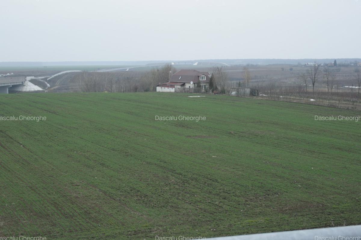PARTICULAR, 10.200 mp. teren intravilan Moara Vlasiei, langa nodul A3 si Balta - 5