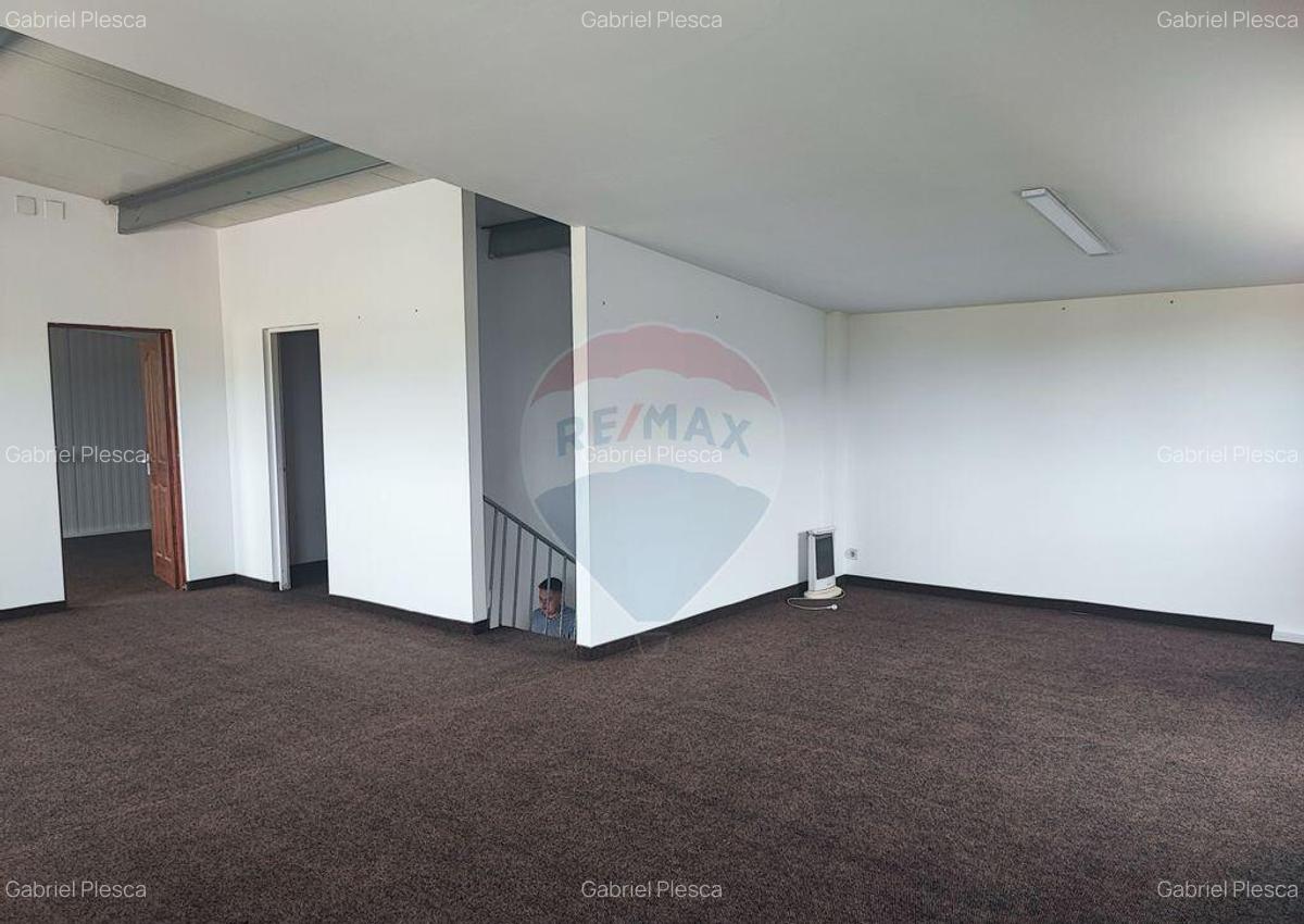 Hala Industriala, Parcul Industrial, Bor?, De Inchiriat - 6