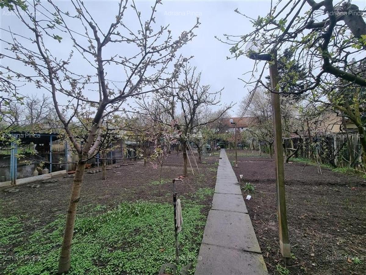 Casa istorica muzeu 4 camere, 2 bai cu 1344 mp teren, ultracentral, Tg Mures - 8